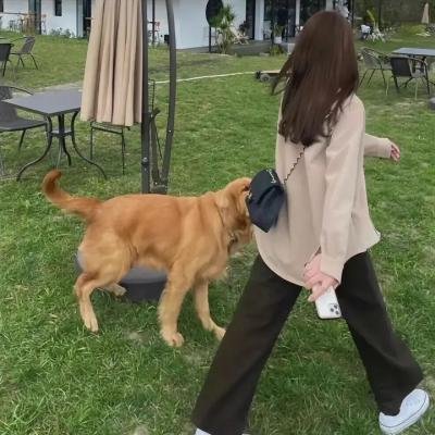 爱情很有种